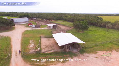 Os Tiranos - Bailando o chamamé [VDownloader].00_02_53_23.Quadro010_a81cb3d12d1f24aa5b013561cc65497e22682a2b.jpg